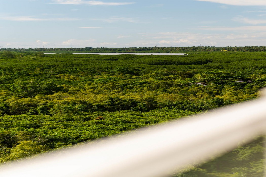 solea coast resort panglao