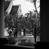 park hyatt ningbo resort and spa