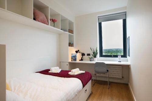 goldcrest village deluxe university campus rooms