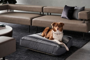 ac hotel melbourne southbank