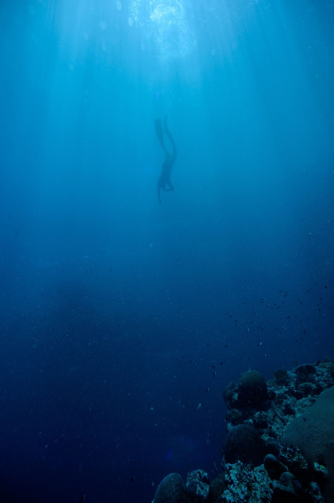 mantaray island resort