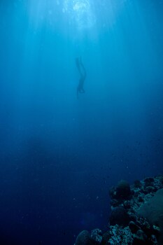 mantaray island resort