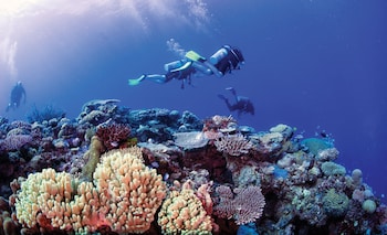 mantaray island resort