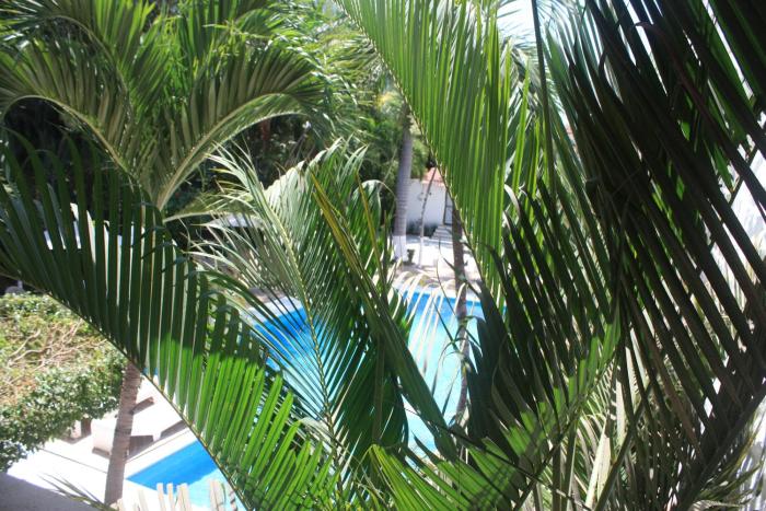 hotel olinala diamante