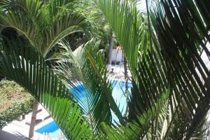 hotel olinala diamante