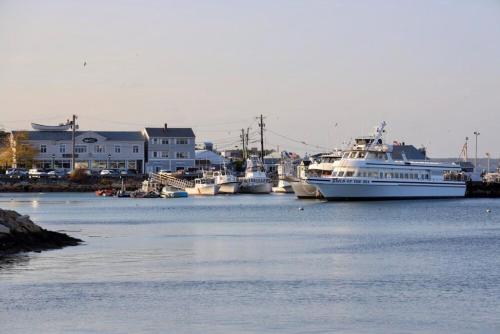 harbourtown suites