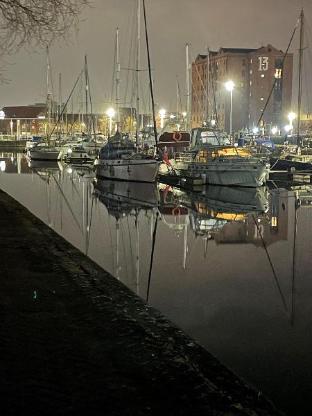 the whittington and cat