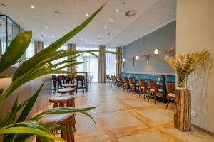 freiburg im breisgau