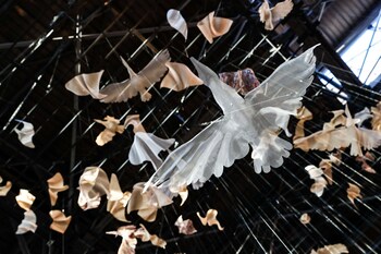 shangri la shougang park beijing