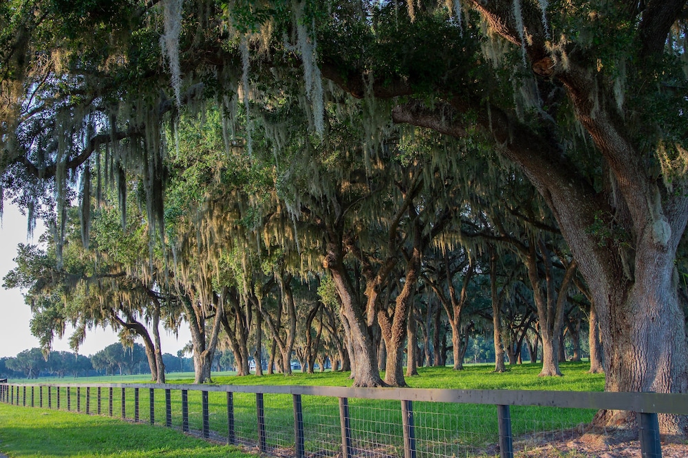 holiday inn hotel and suites ocala conference center by ihg