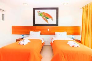 tortuga bay ec