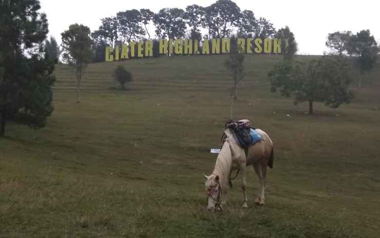 ciater