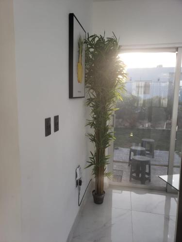 Primaveral 2,,3.5 star