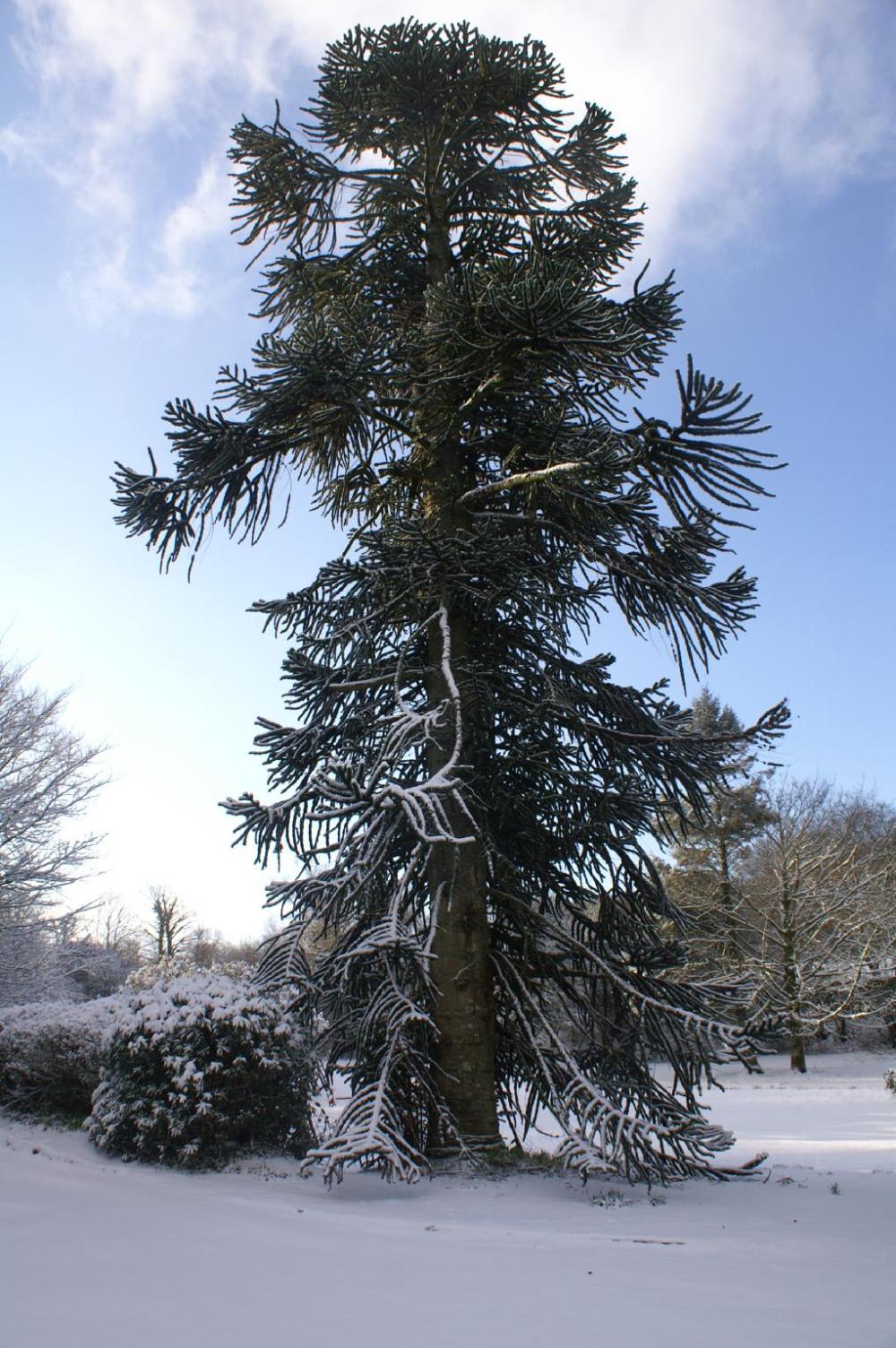 moorlands guest house