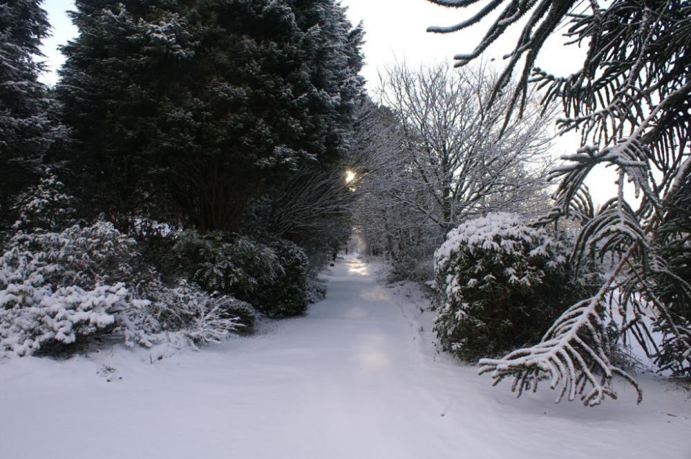 moorlands guest house