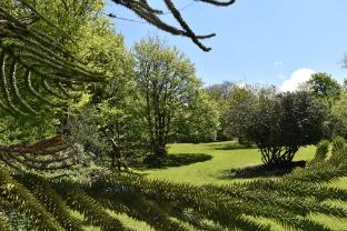 moorlands guest house