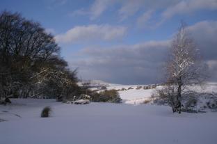 moorlands guest house