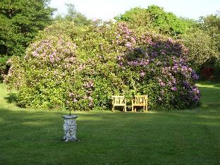 moorlands guest house