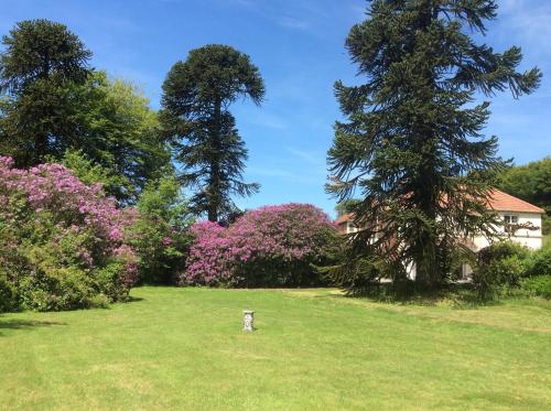 moorlands guest house