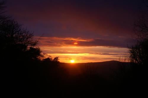 moorlands guest house