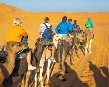 merzouga experience camp