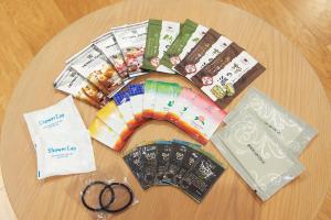 sotetsu fresa inn kyoto kiyomizu gojo