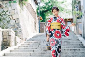 sotetsu fresa inn kyoto kiyomizu gojo