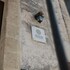 matera
