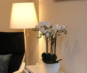 wrexham central stay apartment six