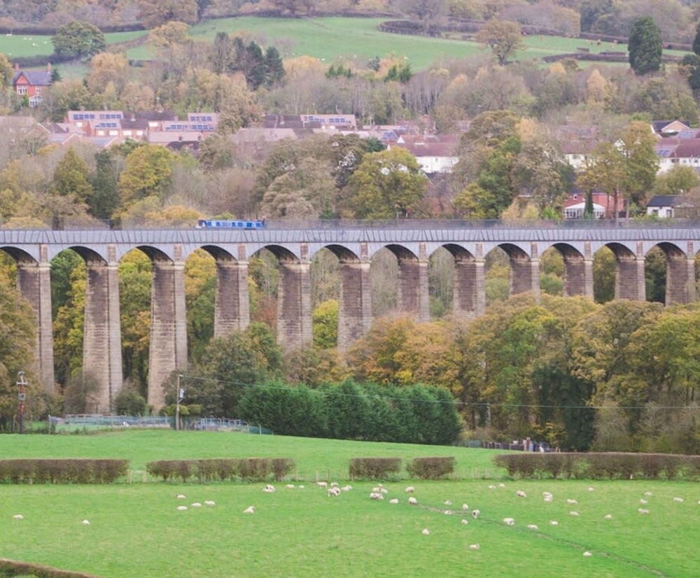 wrexham central stay apartment six