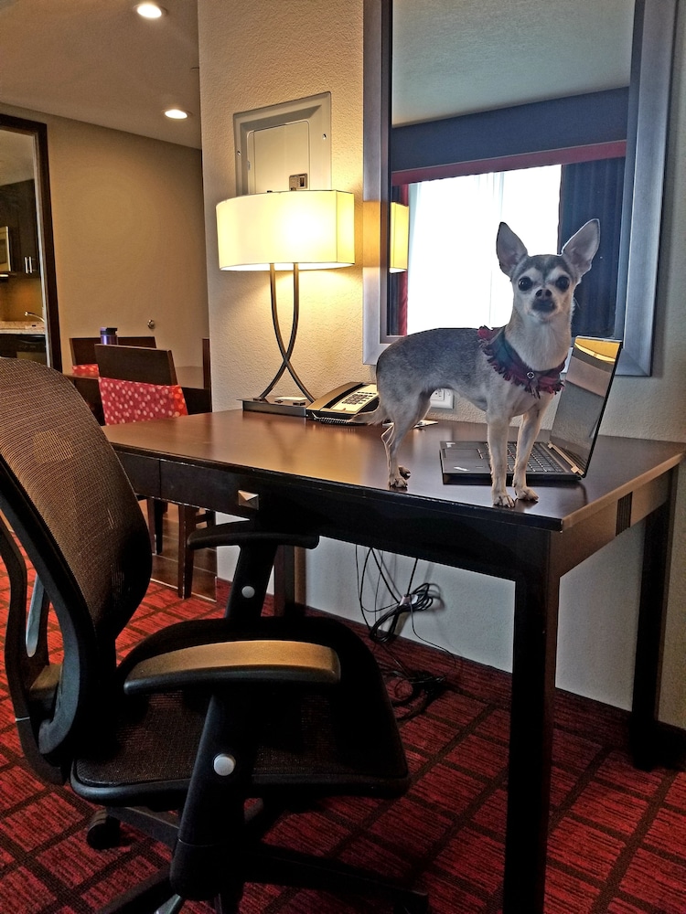 homewood suites by hilton calgary airport alberta canada