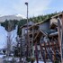 whistler