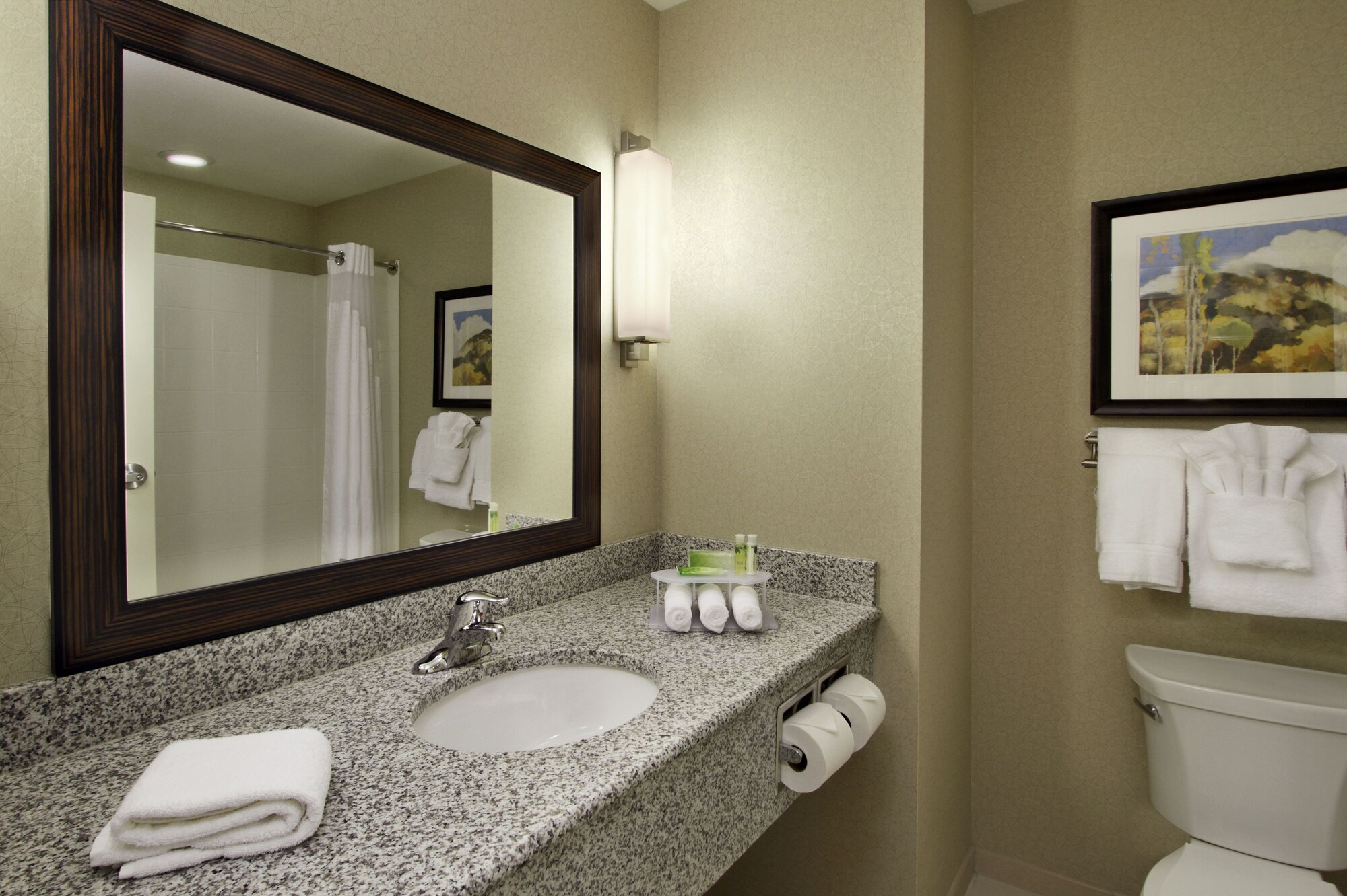 holiday inn express and suites colorado springs fi