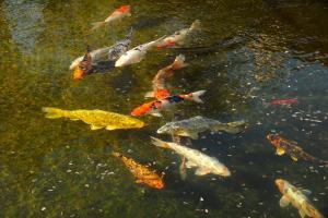 hotel des grands vins