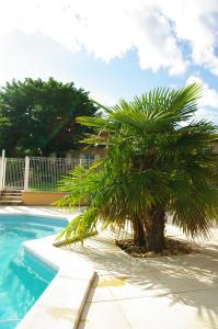 hotel des grands vins