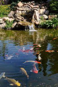 hotel des grands vins