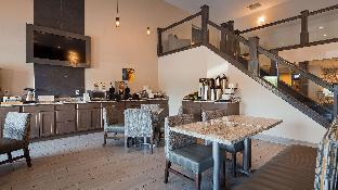 Best Western Plus Flint Airport Inn & Suites,In Flint,3 star