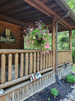 snyders knob bed and breakfast