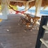 aqua vista beach house