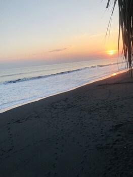 sonsonate