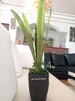 Sipi Valley Resort,,2 star