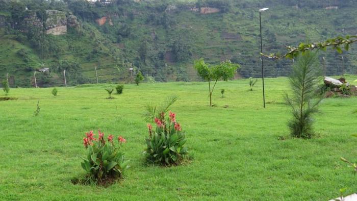 mbale