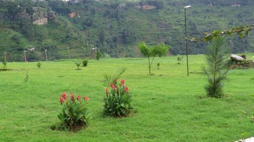 mbale