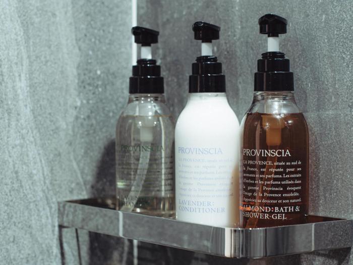 hotel the leben osaka