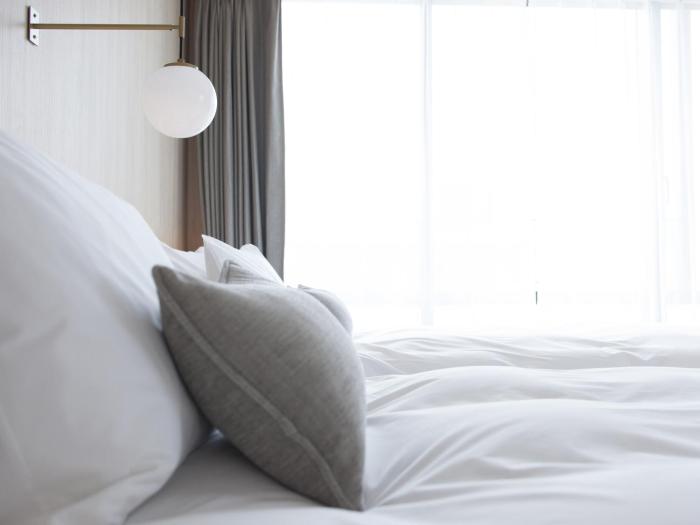 hotel the leben osaka