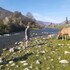 hermosas cabanas en la naturaleza del rio elqui