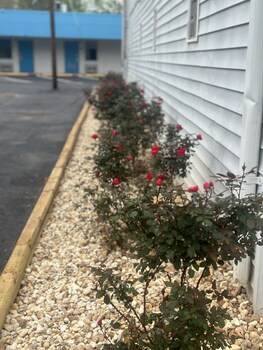 Green Garden Inn,,2 star
