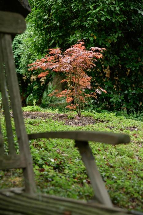 chateau de champ renard