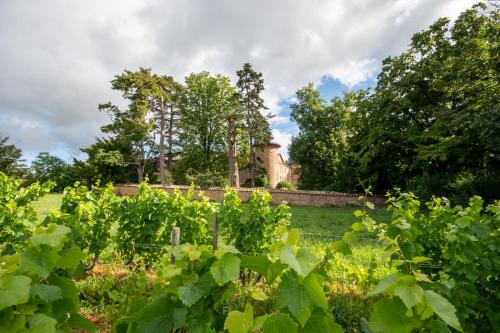 chateau de champ renard