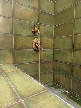 eva recommends higueras jerez